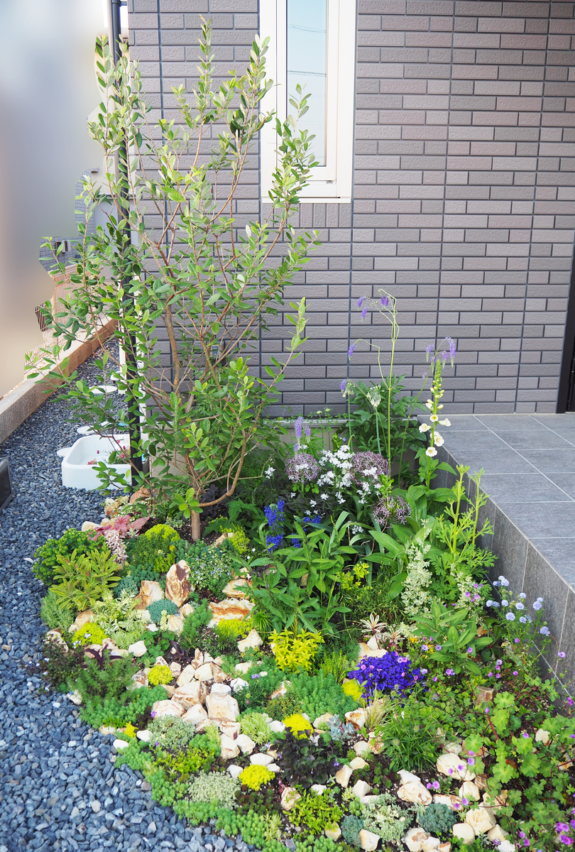 f:id:ridanbijo:20190521100136j:plain f:id:ridanbijo:20190521100136j:plain