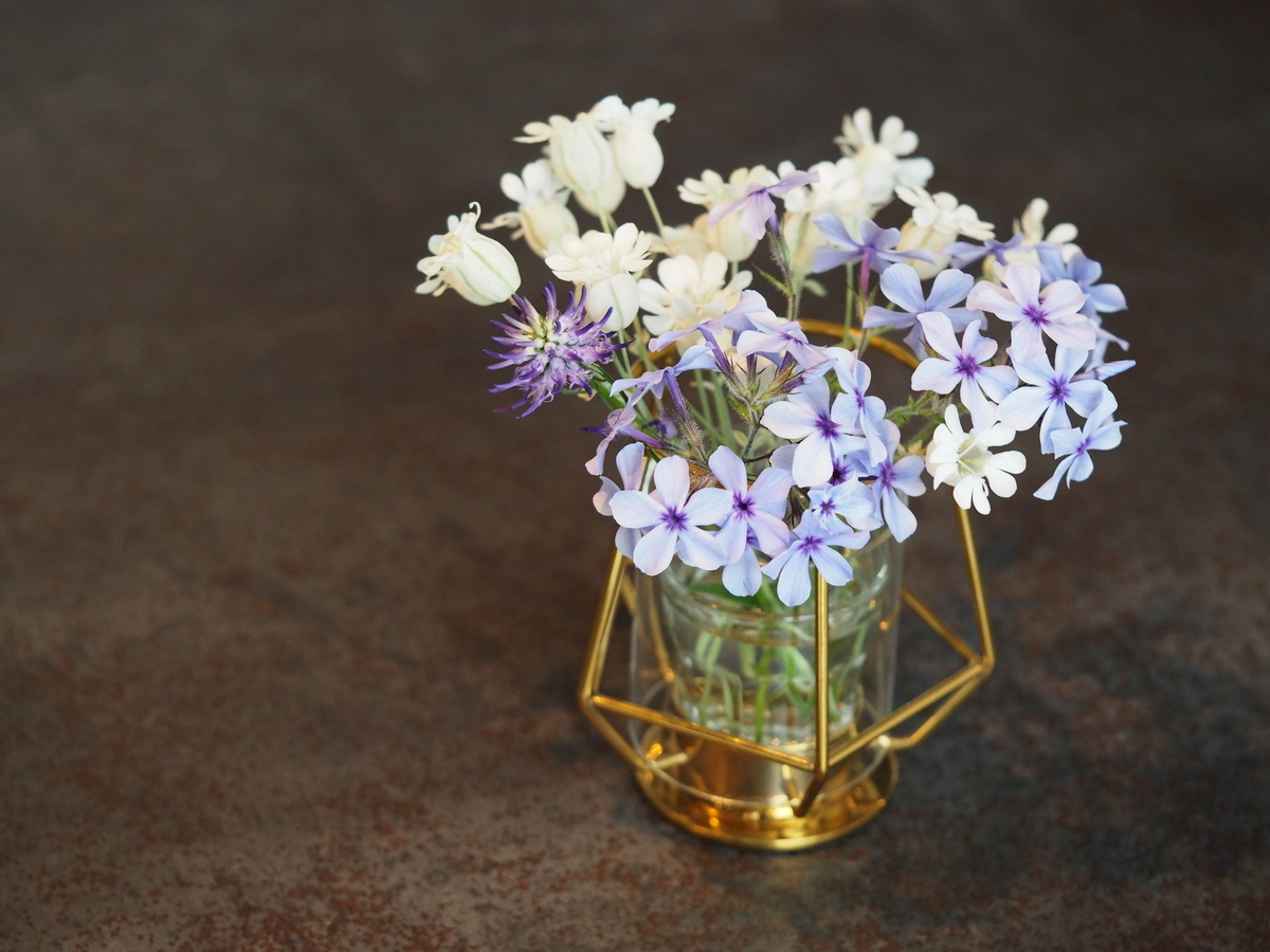 f:id:ridanbijo:20190521104534j:plain f:id:ridanbijo:20190521104534j:plain