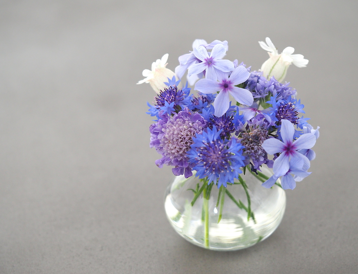 f:id:ridanbijo:20190521113409j:plain f:id:ridanbijo:20190521113409j:plain