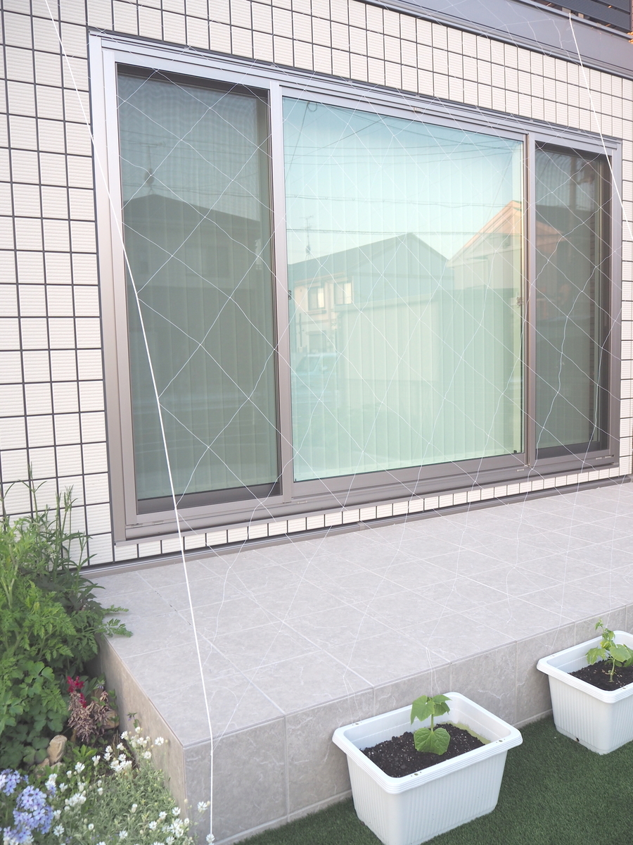 f:id:ridanbijo:20190523114708j:plain f:id:ridanbijo:20190523114708j:plain