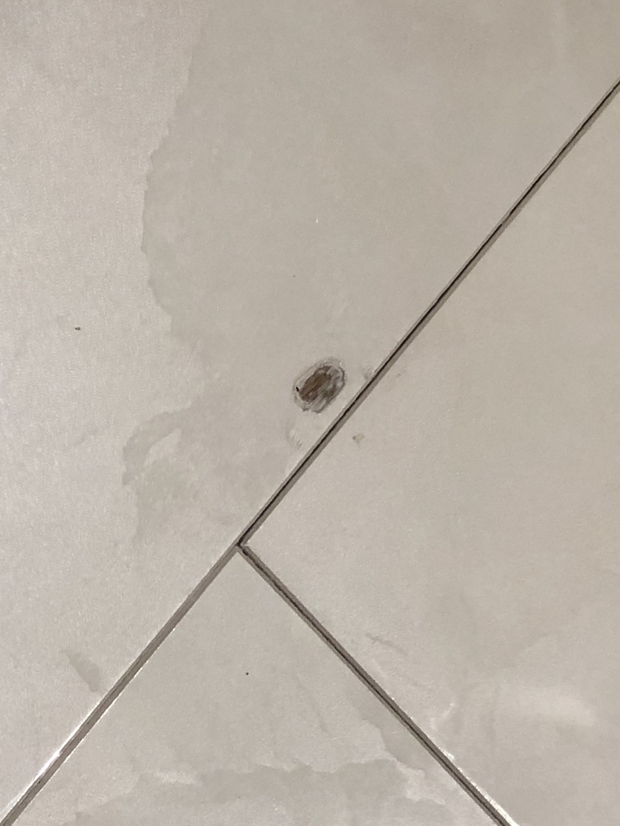 f:id:ridanbijo:20190715202859j:plain