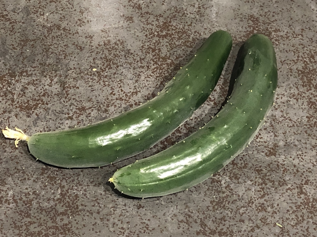 f:id:ridanbijo:20190717195655j:plain f:id:ridanbijo:20190717195655j:plain