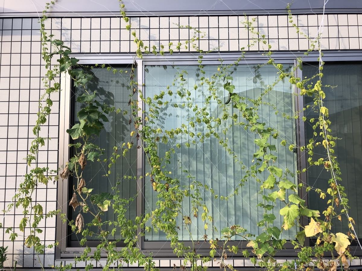 f:id:ridanbijo:20190917204356j:plain f:id:ridanbijo:20190917204356j:plain