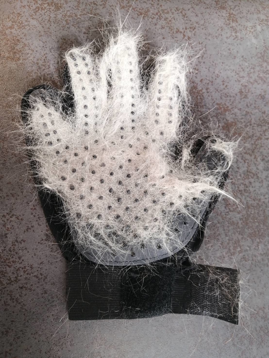 f:id:ridanbijo:20210322220306j:plain