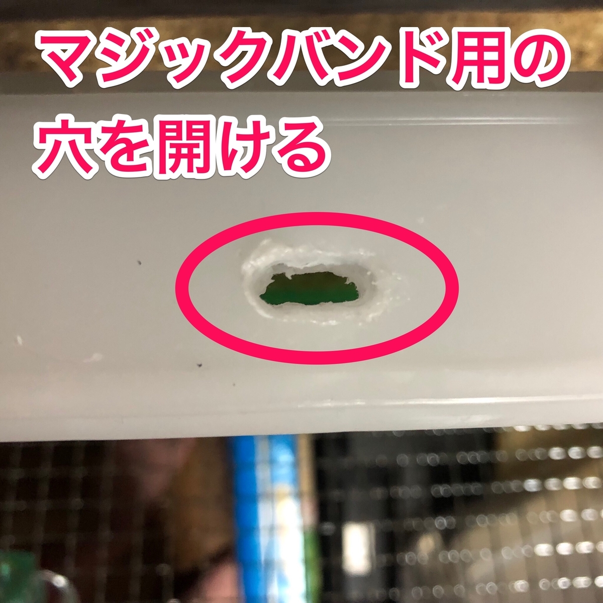 f:id:ride_wa:20190721150045j:plain f:id:ride_wa:20190721150045j:plain