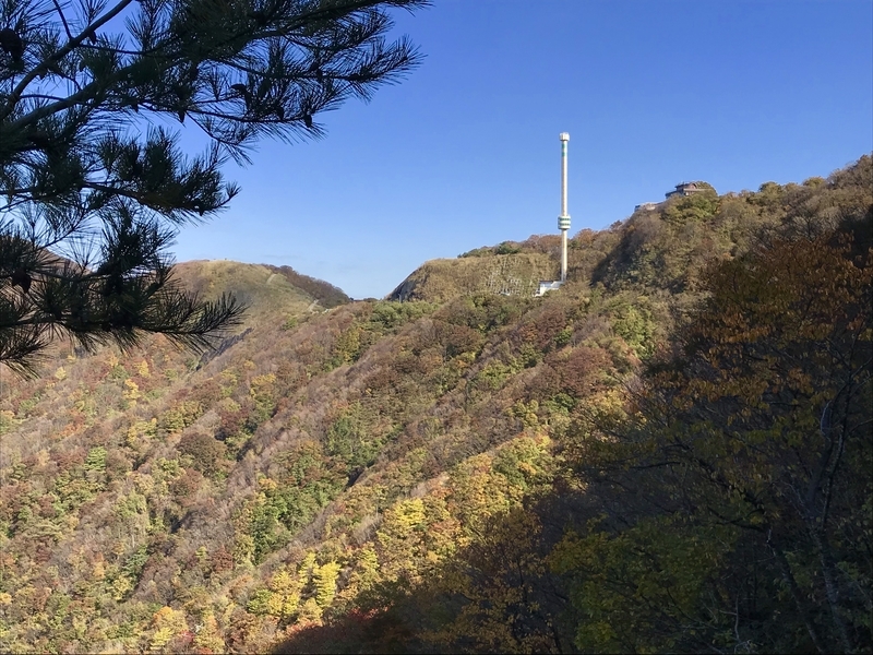 f:id:rideinblue:20181103124342j:plain f:id:rideinblue:20181103124342j:plain