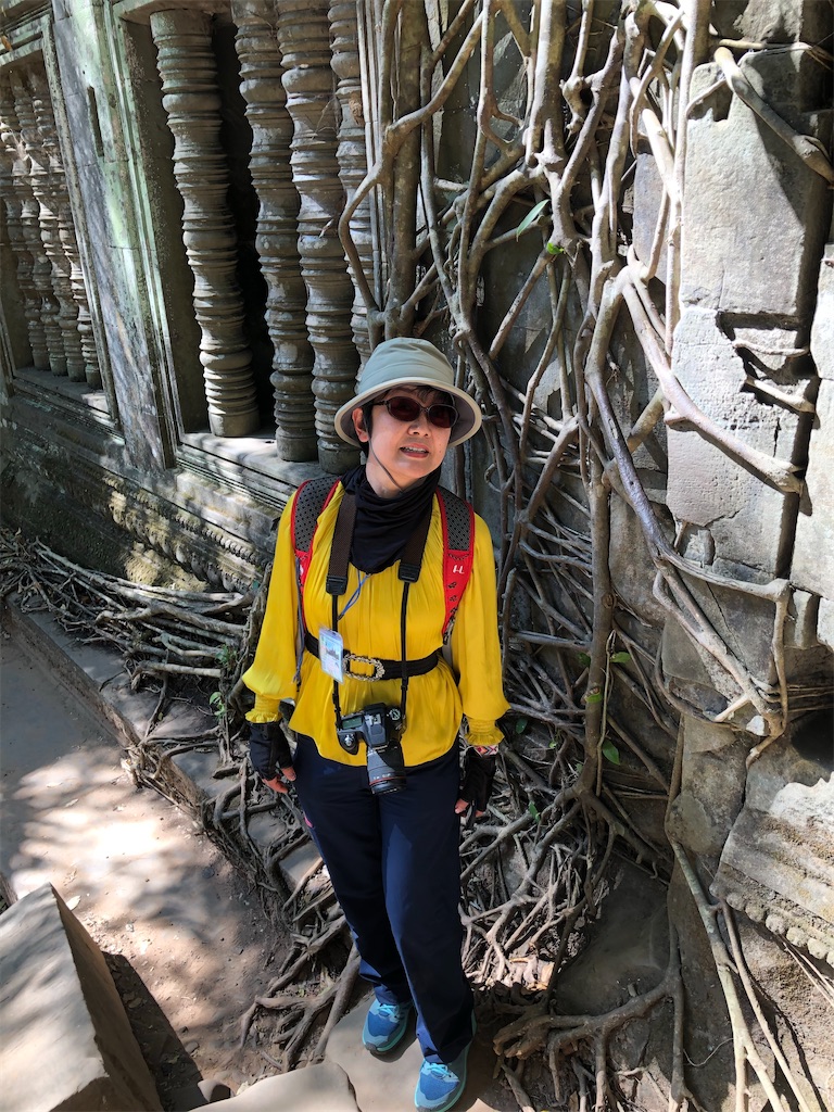 f:id:ridgeww:20191213124915j:image