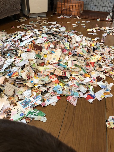 f:id:ridgeww:20200327121912j:image