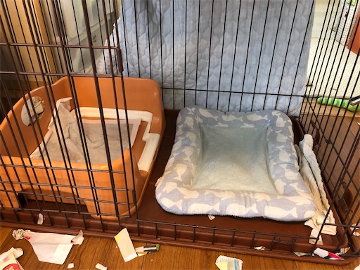 f:id:ridgeww:20200327122021j:image