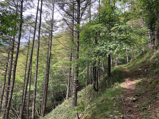 f:id:ridgeww:20200827230257j:image f:id:ridgeww:20200827230257j:image