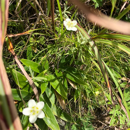 f:id:ridgeww:20200827231002j:image f:id:ridgeww:20200827231002j:image