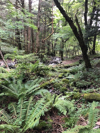 f:id:ridgeww:20200828144449j:image f:id:ridgeww:20200828144449j:image