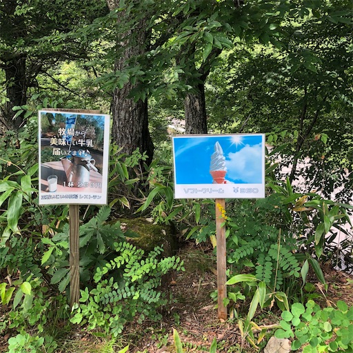 f:id:ridgeww:20200828144557j:image f:id:ridgeww:20200828144557j:image