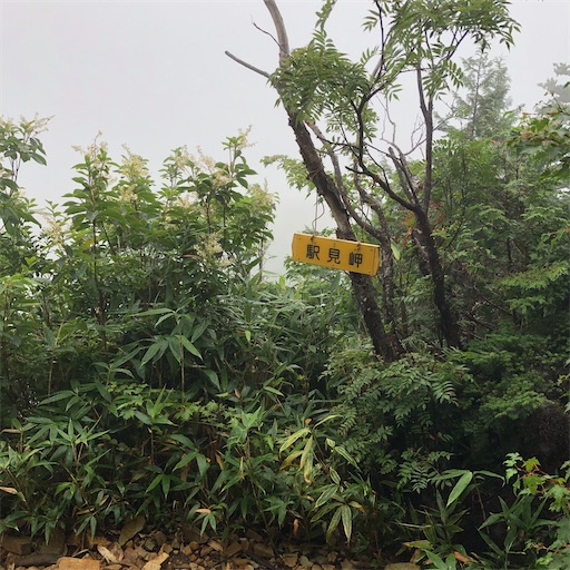 f:id:ridgeww:20200903202254j:image