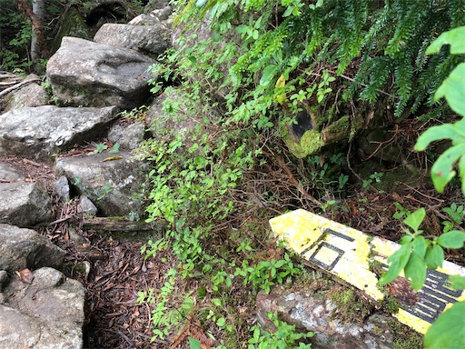 f:id:ridgeww:20200903202515j:image