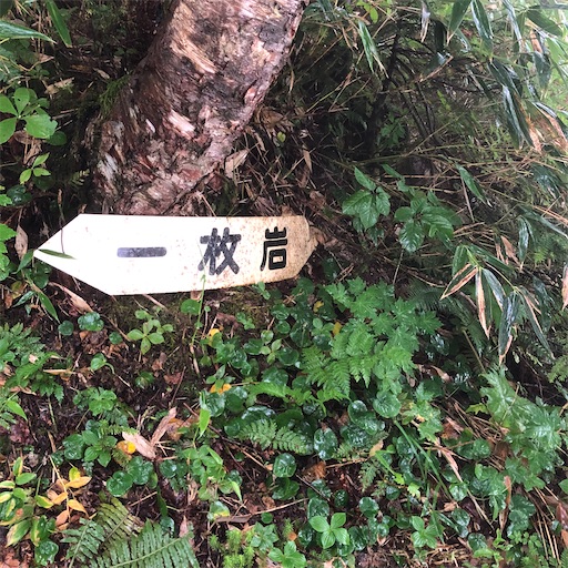 f:id:ridgeww:20200903202823j:image