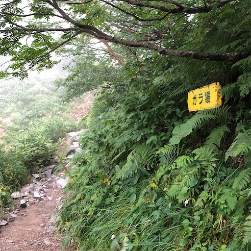 f:id:ridgeww:20200903203012j:image