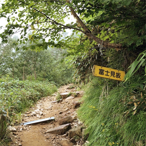 f:id:ridgeww:20200903203117j:image