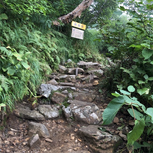 f:id:ridgeww:20200903203139j:image