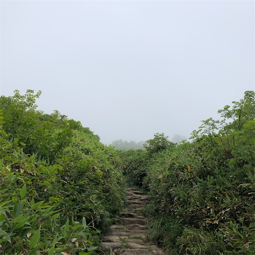 f:id:ridgeww:20200903203523j:image