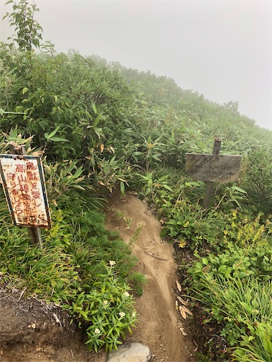 f:id:ridgeww:20200903203920j:image