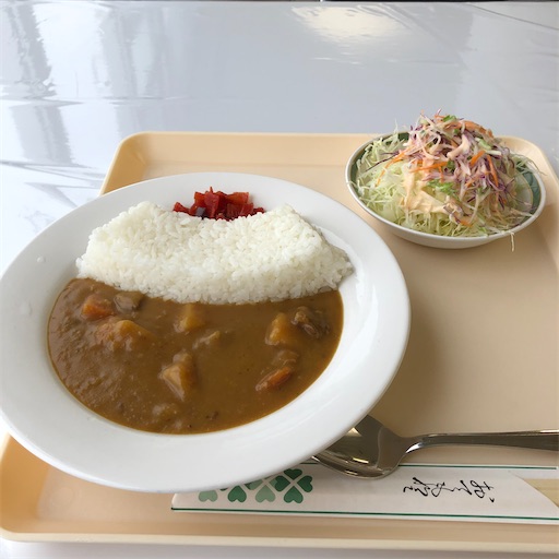 f:id:ridgeww:20200903205201j:image