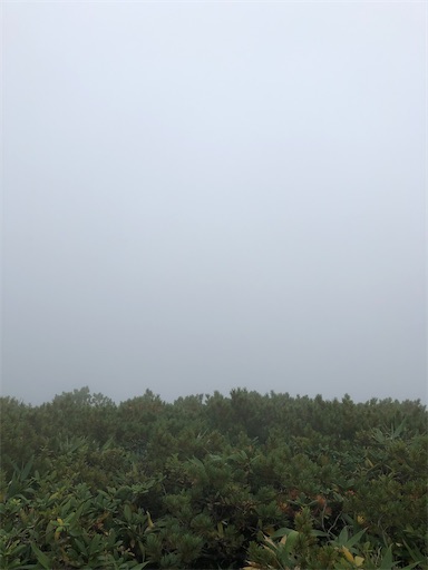 f:id:ridgeww:20200903210802j:image