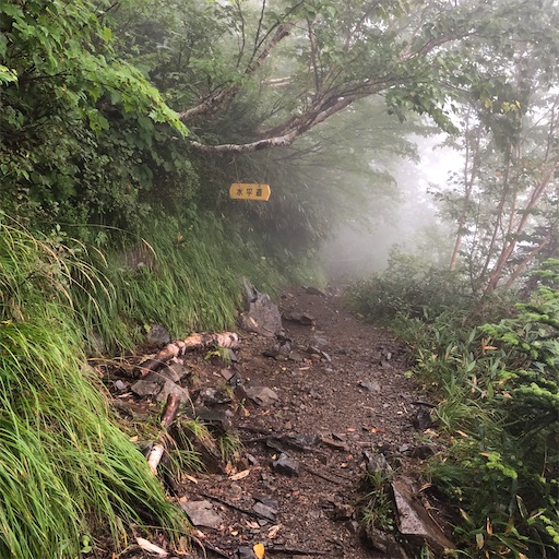 f:id:ridgeww:20200903214531j:image