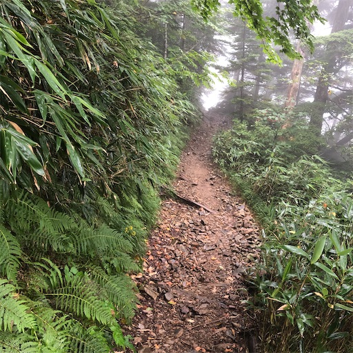 f:id:ridgeww:20200903214610j:image