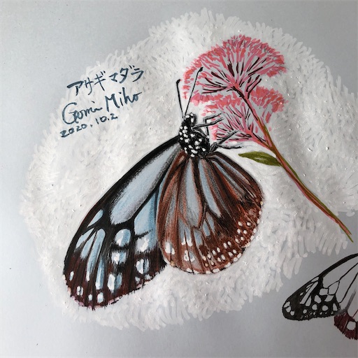 f:id:ridgeww:20201008134841j:image f:id:ridgeww:20201008134841j:image