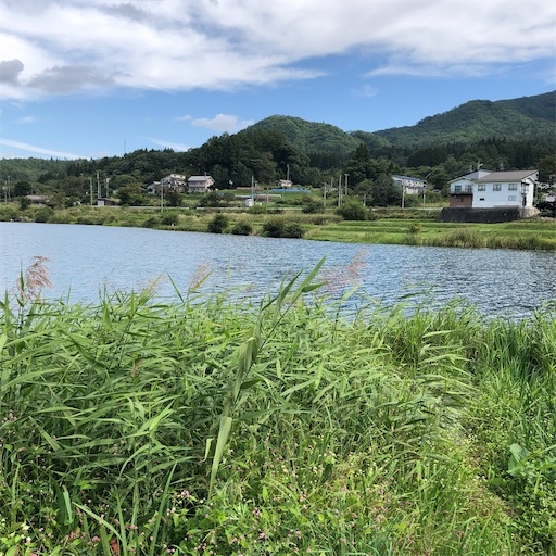 f:id:ridgeww:20201008144401j:image f:id:ridgeww:20201008144401j:image