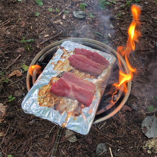 f:id:ridgeww:20201014231410j:image