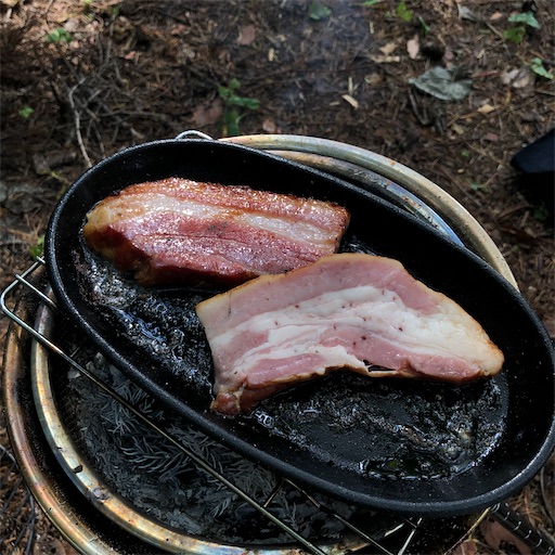 f:id:ridgeww:20201014231428j:image