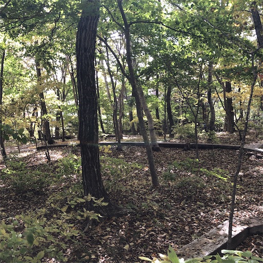 f:id:ridgeww:20201017102622j:image