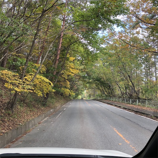 f:id:ridgeww:20201017103933j:image