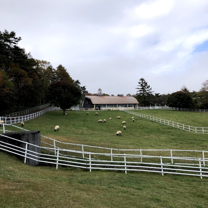 f:id:ridgeww:20201017111943j:plain