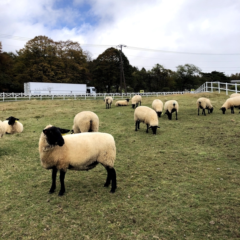 f:id:ridgeww:20201017112028j:plain