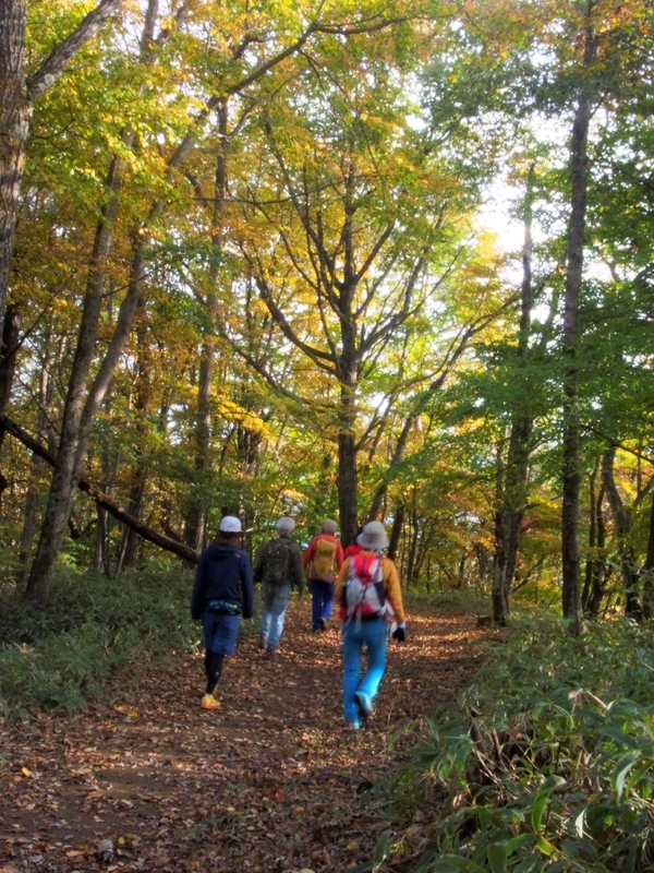 f:id:ridgeww:20201017112345j:plain