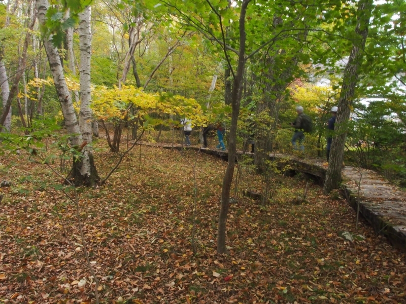 f:id:ridgeww:20201017113808j:plain