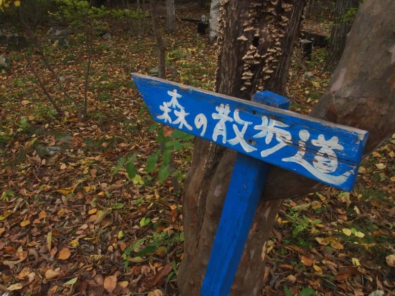 f:id:ridgeww:20201017113828j:plain