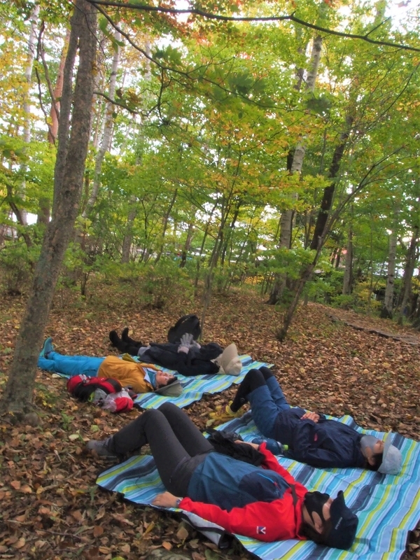 f:id:ridgeww:20201017114441j:plain