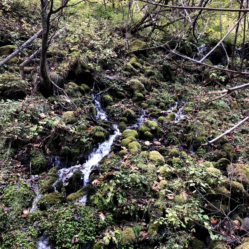 f:id:ridgeww:20201017115145j:plain