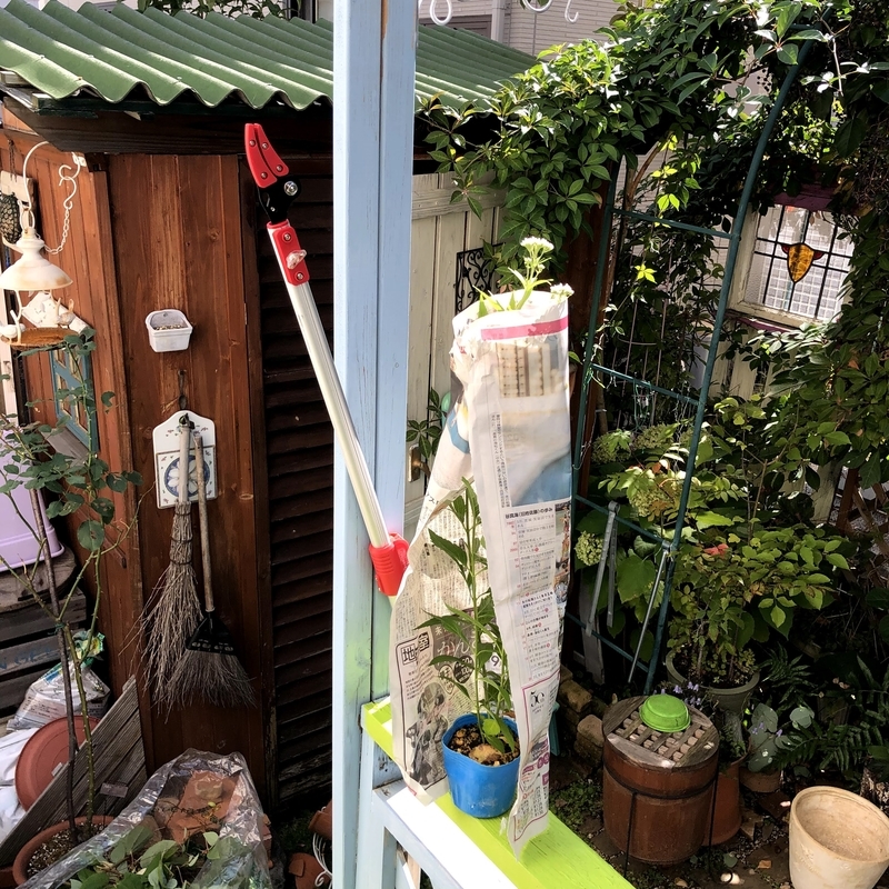 f:id:ridgeww:20201017121023j:plain