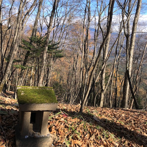 f:id:ridgeww:20201112110943j:image