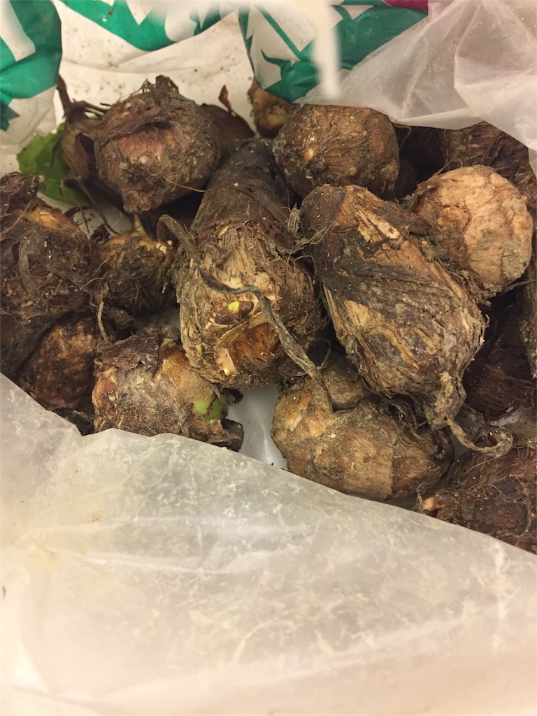 f:id:rie1122:20161105093359j:image