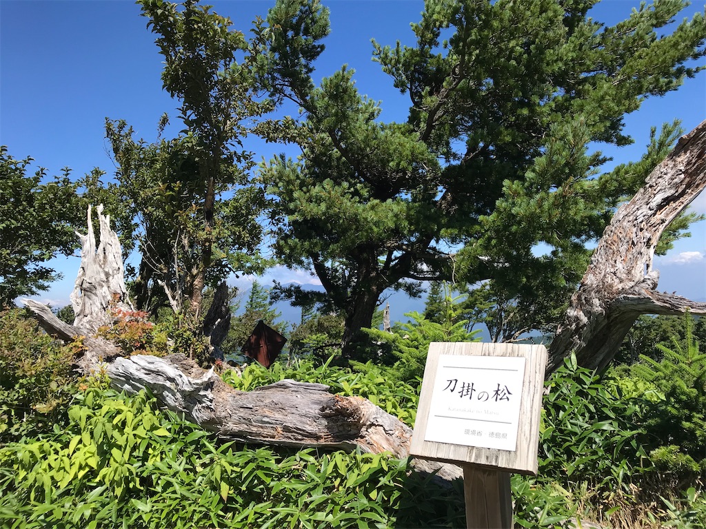 f:id:rie141:20250921162806j:image