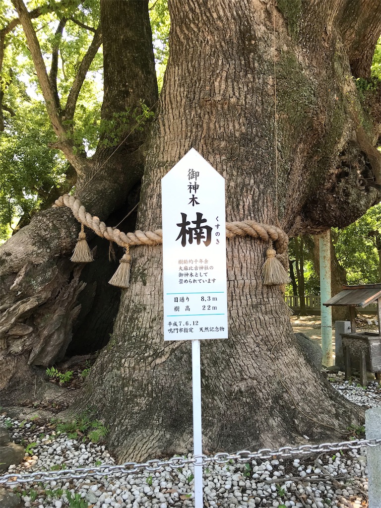 f:id:rie141:20250921191709j:image