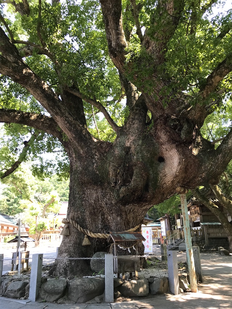 f:id:rie141:20250921191716j:image