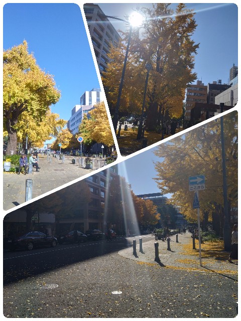 f:id:rie4771:20241206130714j:image