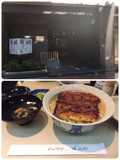 f:id:rie4771:20241206133421j:image